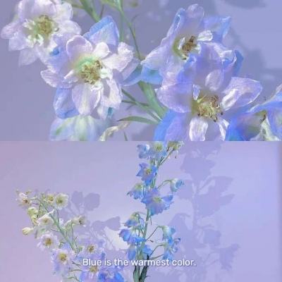 网络举报客户端